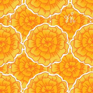 Cempasúchil wallpaper