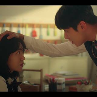 Seasons of Blossom wallpaper