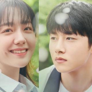 Seasons of Blossom wallpaper