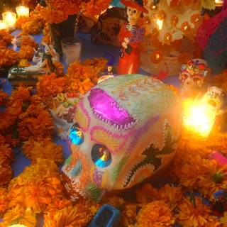 Cempasúchil wallpaper