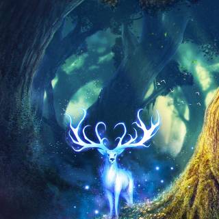 Magical iPhone wallpaper