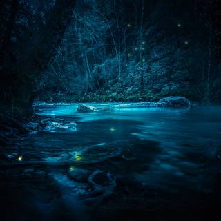 Magical iPhone wallpaper