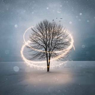 Magical iPhone wallpaper