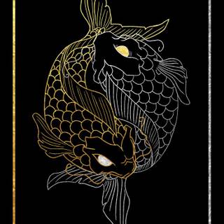 iPhone 14 Pro Max border wallpaper