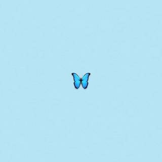 Light blue phone wallpaper