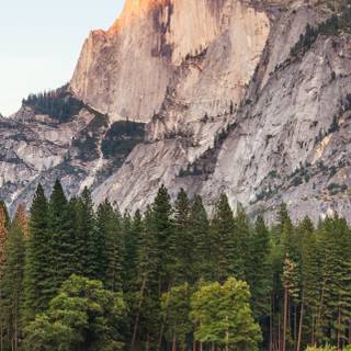 Yosemite iPhone wallpaper