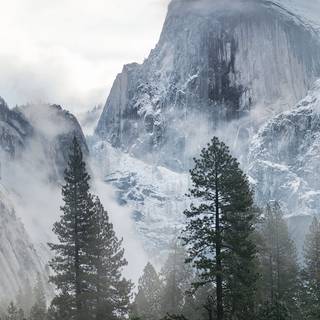 Yosemite iPhone wallpaper