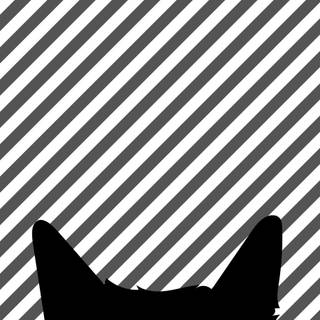 Black cat phone wallpaper