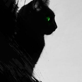 Black cat phone wallpaper