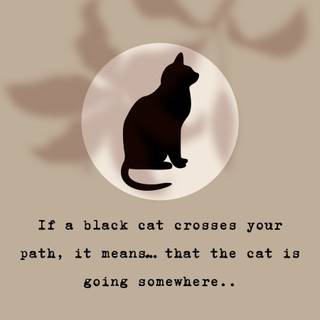 Black cat phone wallpaper