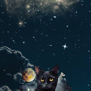 Black cat phone wallpaper