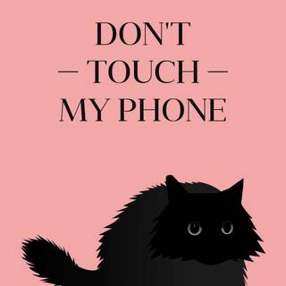 Black cat phone wallpaper