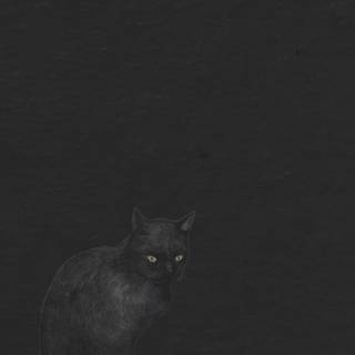 Black cat phone wallpaper