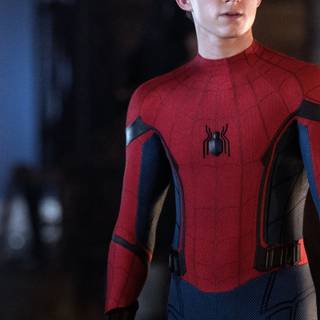 Tom Holland phone wallpaper