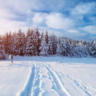 Winter 3840x1600 wallpaper