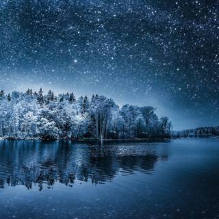 Winter night nature wallpaper