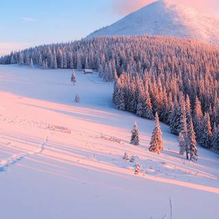 Winter 3840x1600 wallpaper