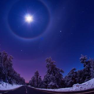 Winter night nature wallpaper