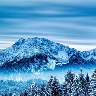 iPhone X 4k winter wallpaper