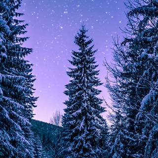 iPhone X 4k winter wallpaper