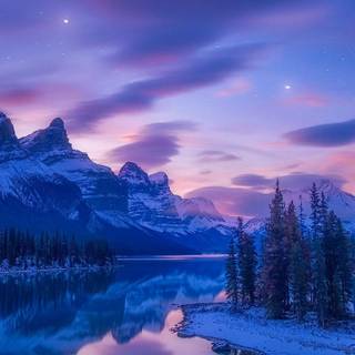 Winter night nature wallpaper
