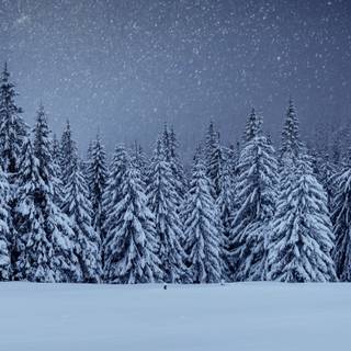 Winter 3840x1600 wallpaper