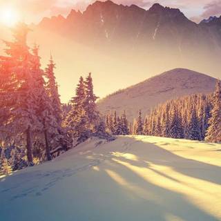 iPhone X 4k winter wallpaper