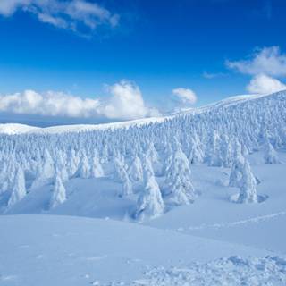 Winter 3840x1600 wallpaper