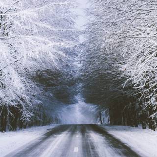 Winter 3840x1600 wallpaper