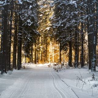 iPhone X 4k winter wallpaper