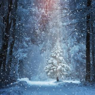 Winter 3840x1600 wallpaper