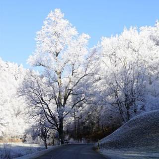 iPhone X 4k winter wallpaper