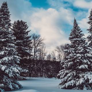 Winter 3840x1600 wallpaper