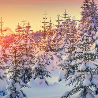 Winter 3840x1600 wallpaper