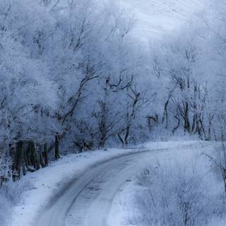 Winter 3840x1600 wallpaper