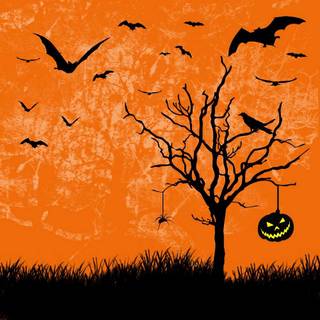 Orange and black Halloween wallpaper