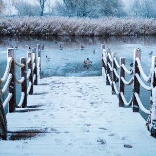 Winter 3840x1600 wallpaper