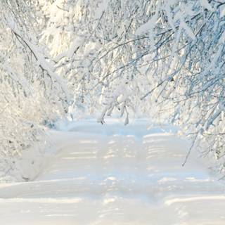 Winter 3840x1600 wallpaper