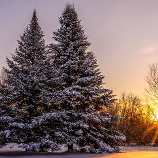 Winter 3840x1600 wallpaper