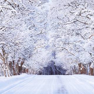 Winter 3840x1600 wallpaper