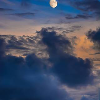 Moon portrait wallpaper