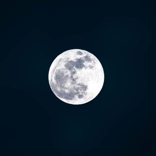 Moon portrait wallpaper