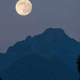 Moon portrait wallpaper