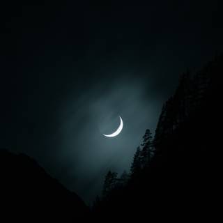 Moon portrait wallpaper