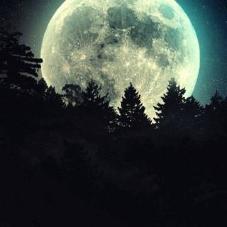 Moon portrait wallpaper