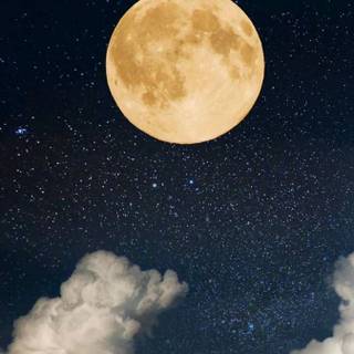 Moon portrait wallpaper