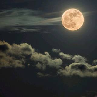 Moon portrait wallpaper