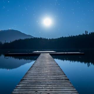 Moon portrait wallpaper