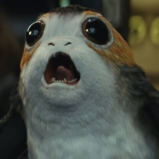 Star Wars Porg wallpaper