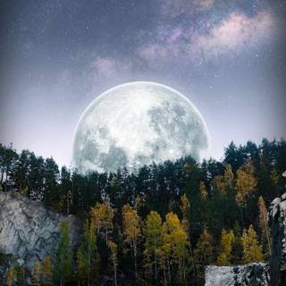 Moon portrait wallpaper